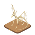 Squelette de dragon