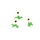 Anémones blanches