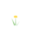 Fleur jaune