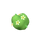 Frangipanier