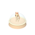 Capsule : Lapalpaga