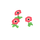 Anémones rouges
