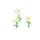 Lys blancs