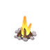 Feu de camp
