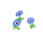 Anémones bleues