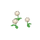 Chrysanthèmes blancs