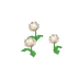 Chrysanthèmes blancs