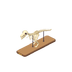Squelette de dinosaure